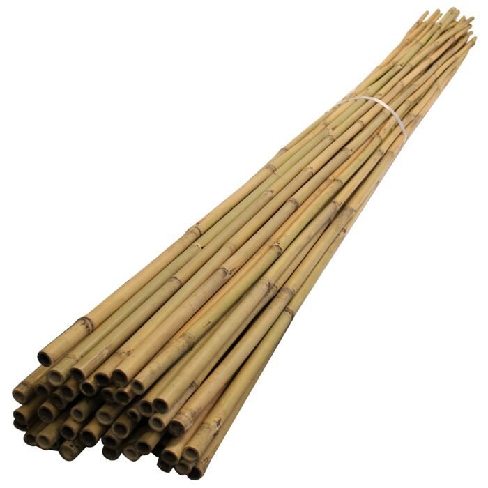 BAMBOO CANES 1.2 MTR / 4 FT.